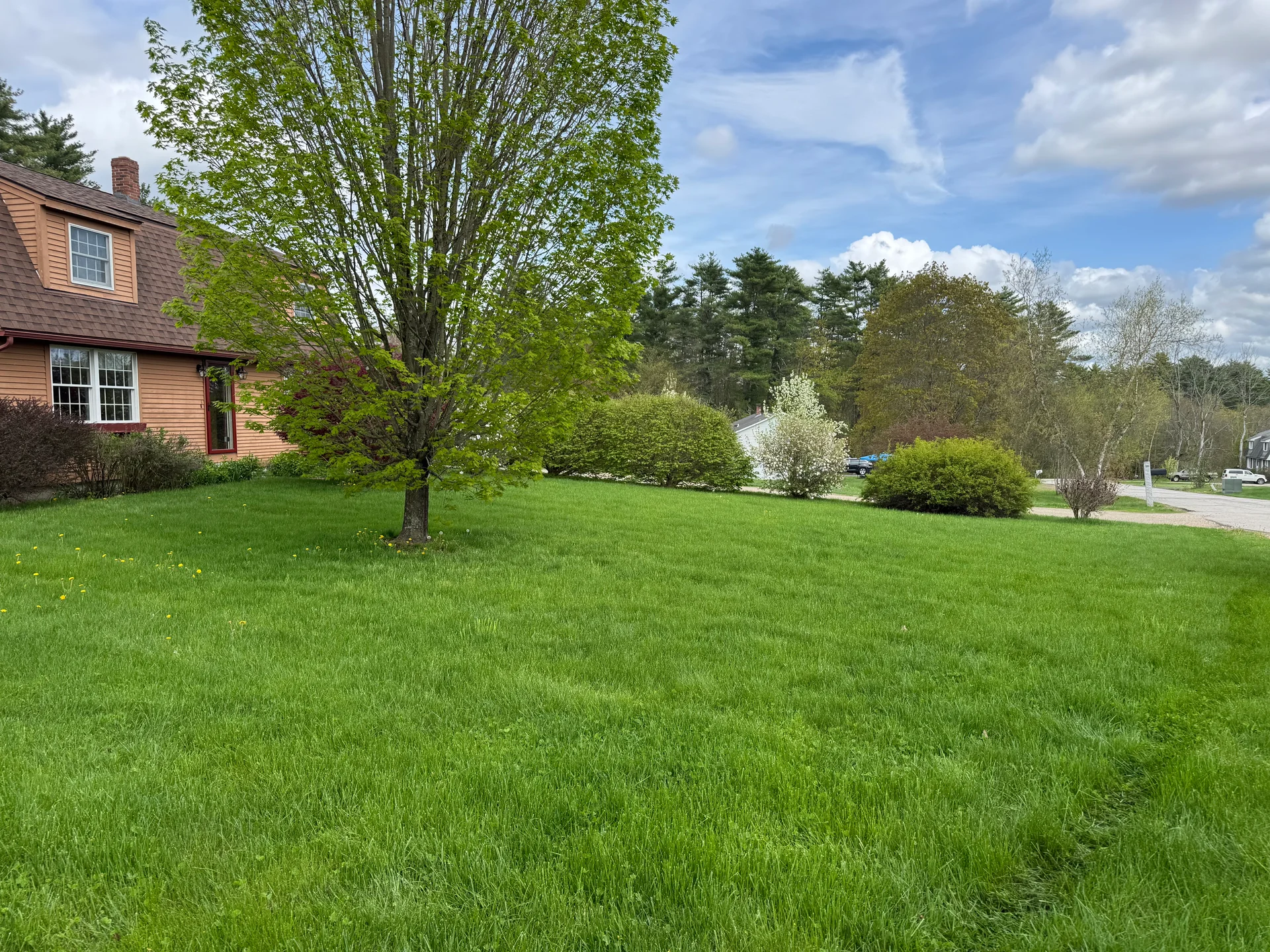 New Hampshire organic lawn in fall