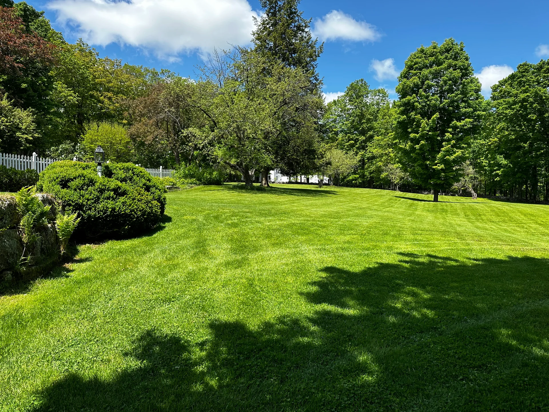 Beautiful New Hampshire organic lawn