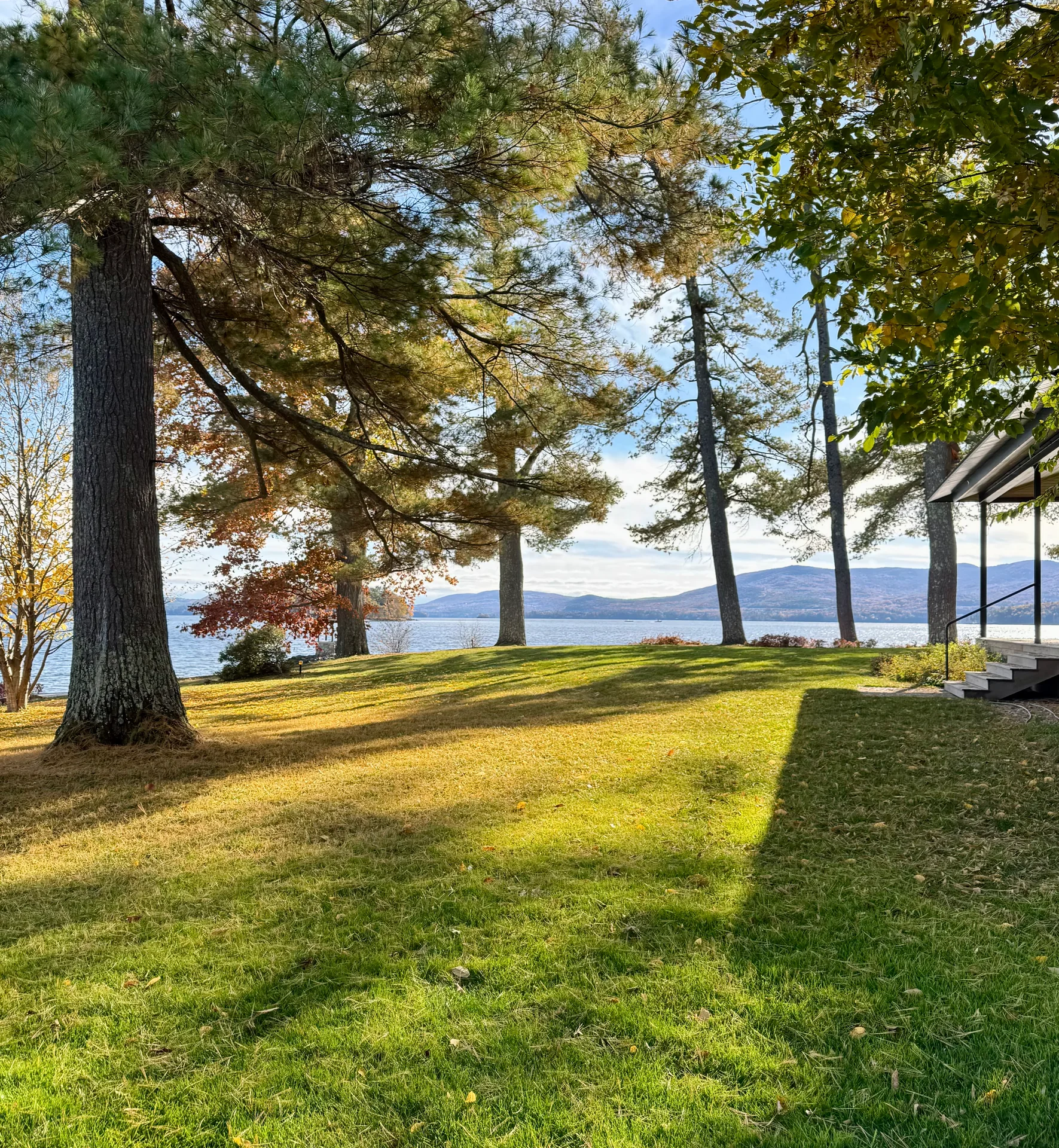 Beautiful New Hampshire organic lawn