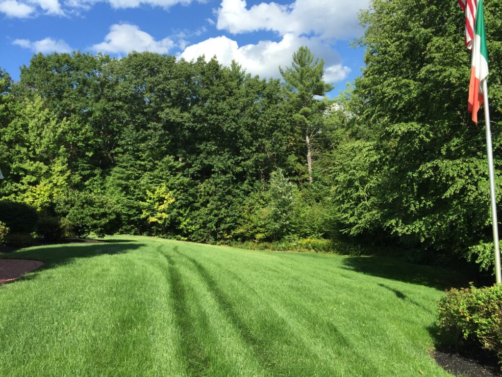Bow NH organic lawn care examples