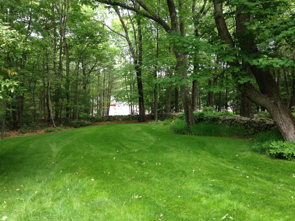 Bow NH lawn care examples