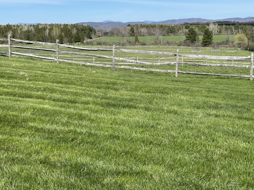 NH Organic Lawn Care Services from Complete Land Organics