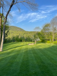 A large green lawn after NH organic lawn care services